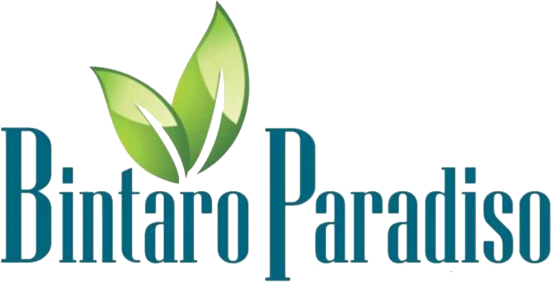 Logo - Bintaro Paradiso - Rumah Cluster Bintaro Sektor 3A Tangerang